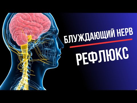 Видео: Рефлюкс. Блуждающий нерв
