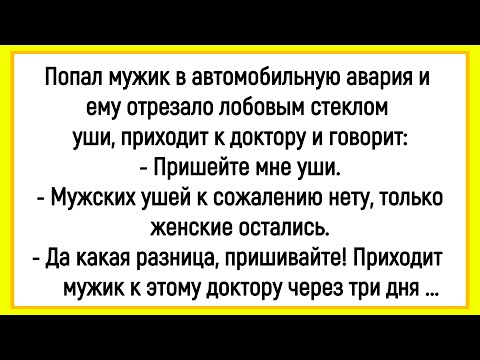 Видео: 🤡Как Мужику Женские Уши Пришили! Сборник Очень Смешных Анекдотов! Юмор! Позитив!