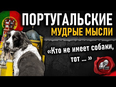 Видео: Португальские мудрые мысли, пословицы и поговорки, гениальные цитаты португальцев