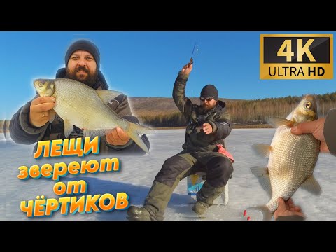 Видео: НАШЁЛ СТАДО ЛЕЩА !!! ТАКОГО ДИКОГО КЛЁВА НА ЧЁРТИКИ Я НЕ ПРИПОМНЮ !!!