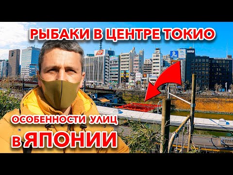 Видео: НАШЕЛ РЫБАЛКУ В ЦЕНТРЕ ТОКИО | Особенности улиц в японской столице.