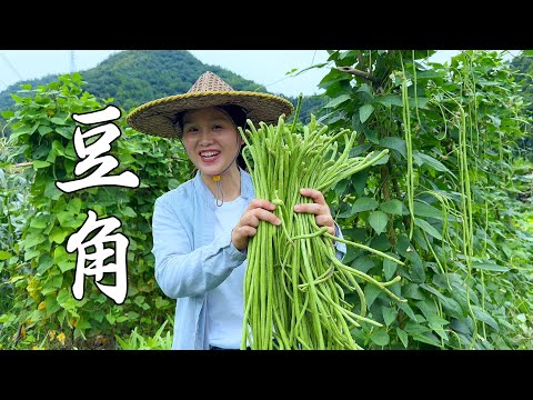 Видео: Не можете доесть фасоль? 3 новых потрясающих способа ее съесть! Один способ,из-за которого 3 ребенка