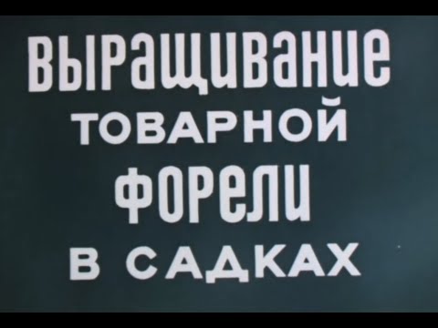 Видео: Выращивание товарной форели в садках (Леннаучфильм) 1974 г.