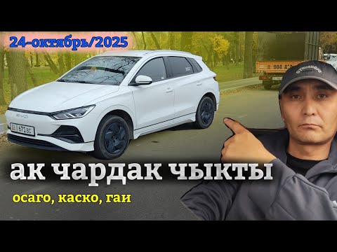 Видео: АК ЧАРДАК чыкты! Страховка/ гаи/ тергоо кандай Буту?