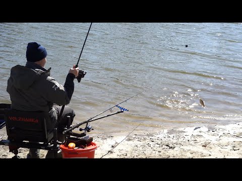 Видео: Весенний фидер! Отличная рыбалка на ДВА фидера!
