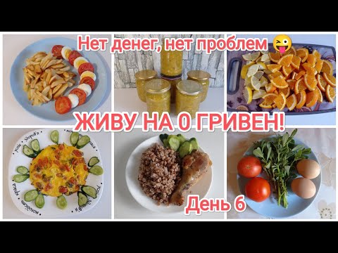 Видео: ЖИВУ НА 0 ГРИВЕН!!! День 6 