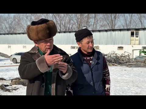 Видео: #2 рубрикасы Алый маг деген Айгыр