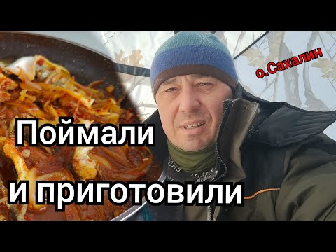 Видео: Открыли сезон НАВАГИ 2024г о Сахалин