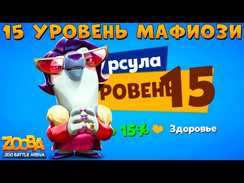 Видео: КАЧАЕМ 15 УРОВЕНЬ - МАФИОЗИ УРСУЛА В ИГРЕ ZOOBA