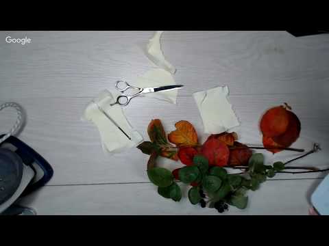 Видео: Осенние краски