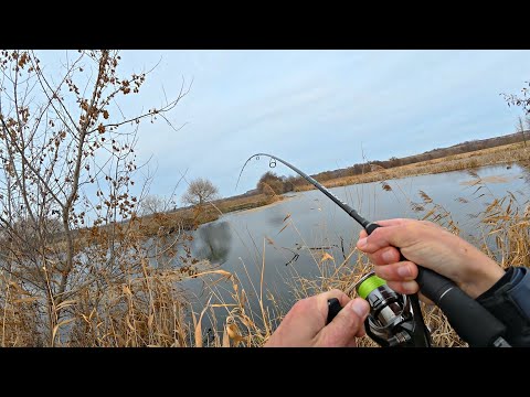 Видео: ПОЙМАЛ ХОЗЯЙКУ РЕКИ! Здесь нет людей и рыбалка выходит за грани реальности! Рыбалка 2025.