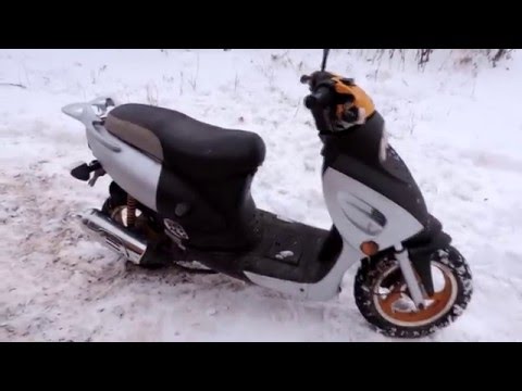 Видео: Обзор Скутера Irbis z50r [ Scooter Life]