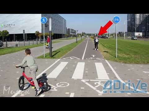 Видео: ПДД РБ 2023. Предписывающие знаки