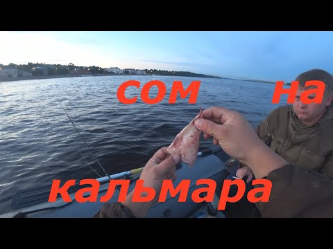 Видео: Сом на квок/ Июль 2020/ Волга/ Тест новой наживки.