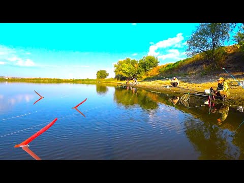 Видео: РЕКА КИПИТ ОТ РЫБЫ!! КАРАСЬ, САЗАН, РЫБАЛКА НА ПОПЛАВОК