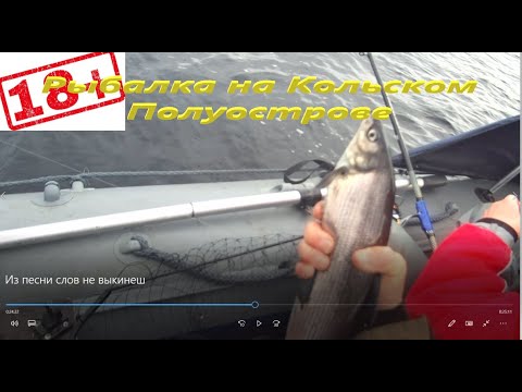 Видео: Рыбалка на озере Лумболка. На рыбалку в городе. Снова за сигом.