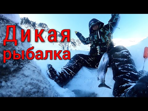 Видео: Рыбалка пошла не по плану/Нашли таежную избу и остались ночевать, а утром.../Опасная экспедиция #2