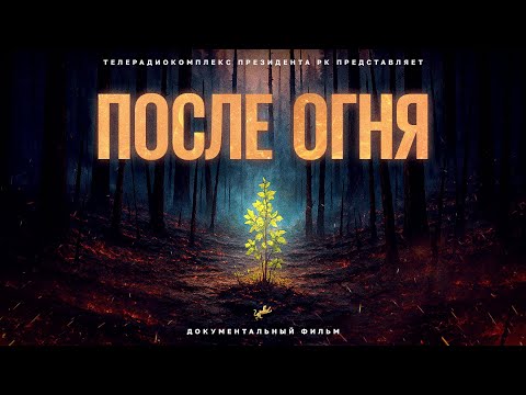 Видео: После огня: документальный фильм о пожарах в Казахстане и восстановлении лесов Костаная и Абая.