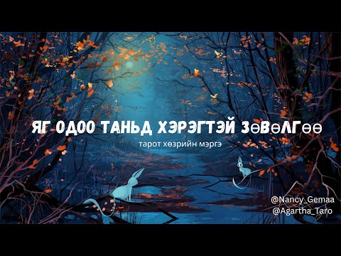 Видео: Яг одоо таньд хэрэгтэй зөвлөгөө тарот хөзрийн мэргэ