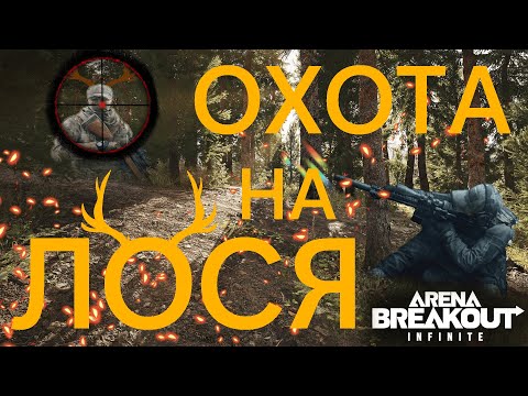 Видео: ОХОТА В ARENA BREAKOUT INFINITE