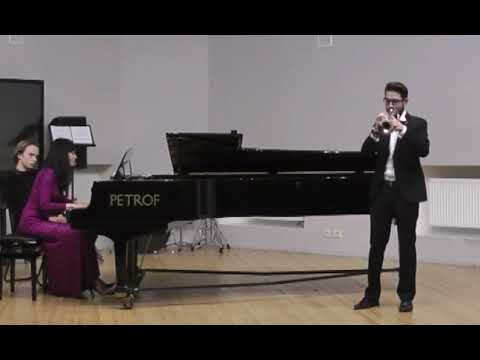Видео: Гайдн - концерт для трубы с оркестром Es-dur