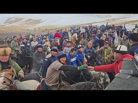 Видео: Эрмек балбан автоунаага таштады