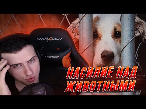 Видео: HellYeahPlay про насилие над животными