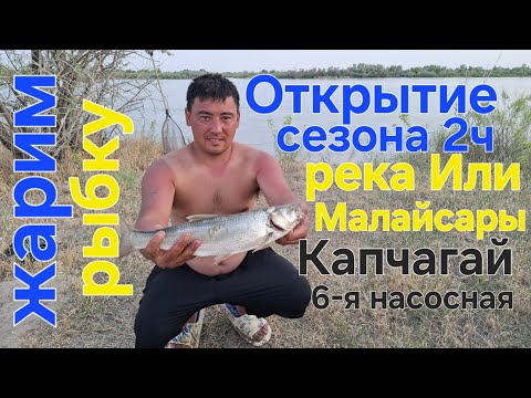 Видео: Открытие сезона река Или 2025г 2-я часть.