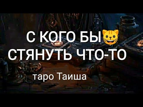 Видео: 😺С КОГО БЫ СТЯНУТЬ ЧТО-ТО😺