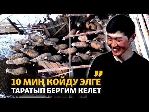 Видео: "10 миң койду элге таратып бергим келет"