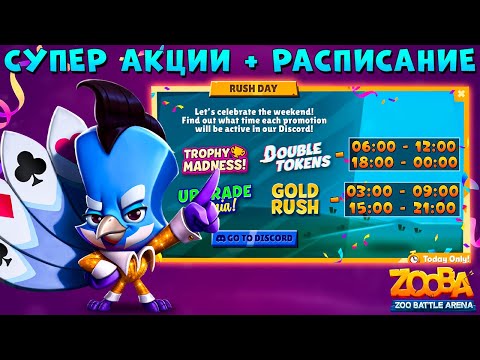 Видео: СУПЕР АКЦИИ + РАСПИСАНИЕ!!! ФУЛЛ ХАУС РАВИ В ИГРЕ ZOOBA