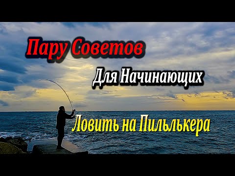 Видео: 🔴Несколько Секретов, Для Начинающих. Как Сохранить Пилькера. Моя Техника Заброса. Морская Рыбалка.