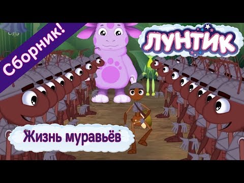 Видео: Жизнь муравьёв 🐜 Лунтик 🐜 Сборник мультфильмов 2018