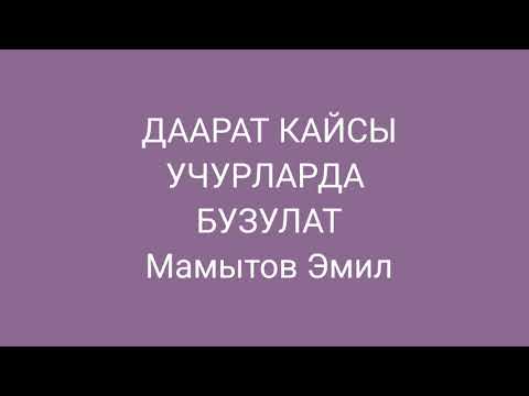 Видео: даарат кайсы учурларда бузулат