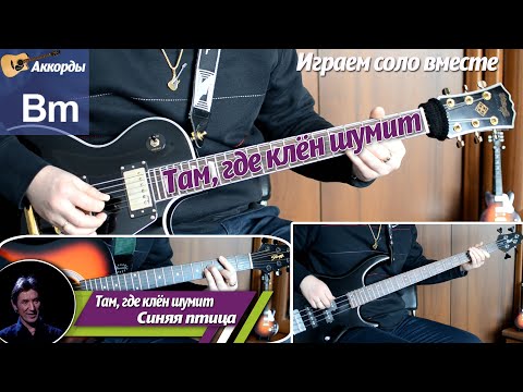Видео: Синяя птица - Там, где клен шумит, соло на гитаре, аккорды, партия бас гитары, подробный разбор
