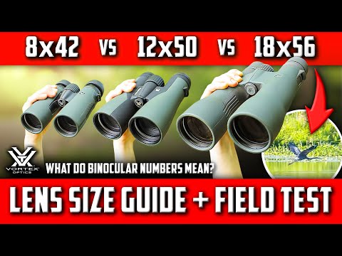 Видео: Как выбрать бинокль: какой размер лучше всего подходит для ваших занятий? ТЕСТ: Vortex 8x42, 12x5...