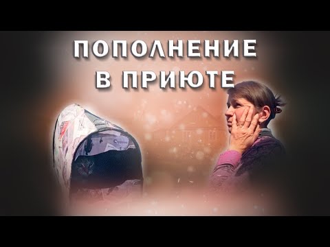 Видео: VLOG: Как к нам попадают хвостики // Пополнение в приюте