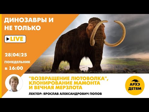 Видео: Занятие "«Возвращение лютоволка», клонирование мамонта и вечная мерзлота" с Ярославом Поповым