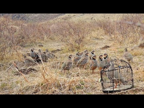 Видео: 14 октября 2024 г.