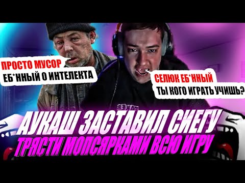 Видео: ЭТОТ АУКАШ ЗАСТАВИЛ ЗВОГО СИЕГУ ТРЯСТИ МОПСЯРКАМИ ВСЮ ИГРУ!#головач