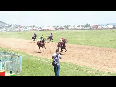 Видео: Округ 2019 3200м ЧК старшаки 1. Ронни, 2. Джайент Бэнд, 3. Выборный