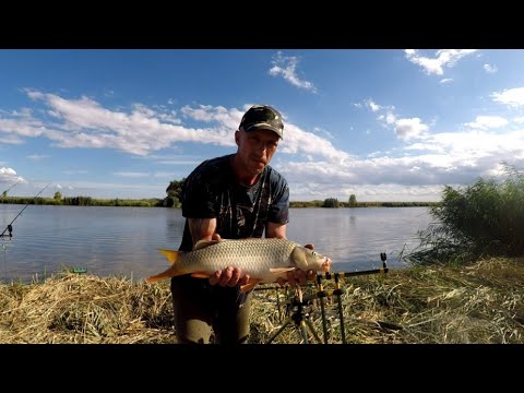 Видео: 2 серия Маяки/Днестр/Глубоком Турунчуке #рыбалка 2022  #рекомендации #карпфишенг