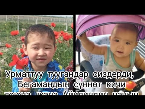 Видео: Шамшидин уулу Жуманазар
