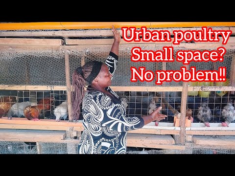 Видео: Городское фермерство: небольшое пространство — не проблема!: подумайте об этом, прежде чем начать