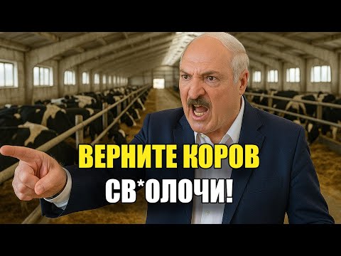 Видео: Верните коров! — Лукашенко приехал на ферму и не смог сдержать гнева