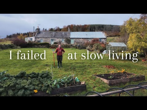 Видео: Это действительно Хорошая Жизнь?