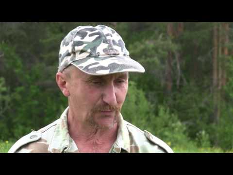 Видео: Про охоту и охотников с Валерием Кузенковым. Сезон 3. Маралы. Дичеразведение