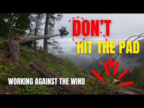 Видео: Затуманился, пытаясь не разбить вертолетную площадку