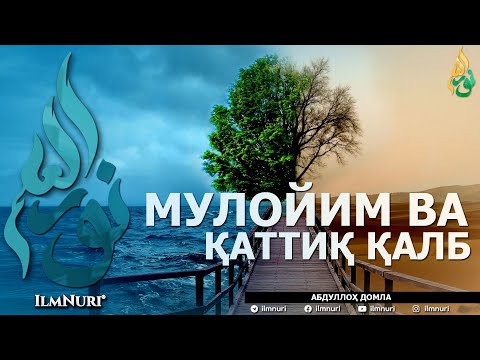 Видео: МУЛОЙИМ ВА ҚАТТИҚ ҚАЛБ (ИККИСИНИНГ МИСОЛИ БАРОБАРМИ?) - АБДУЛЛОҲ ДОМЛА