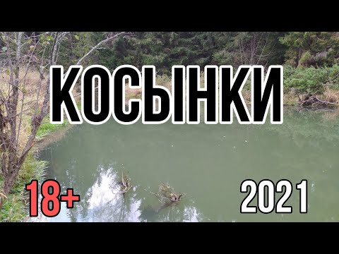 Видео: ОСЕННЯЯ РЫБАЛКА косынками и экранами. Октябрь 2021